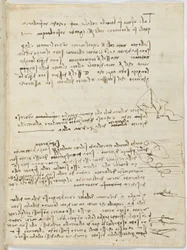 Código sobre el vuelo de los pájaros, c. 1505-06, manuscrito en papel, cc. 18, hoja 10 recto